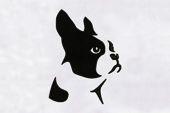 Boston Dog