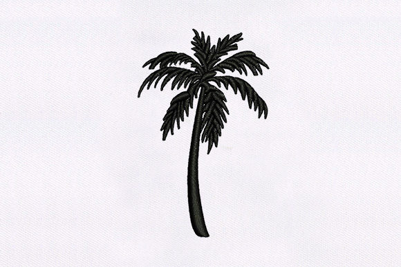 Stunning Palm Tree